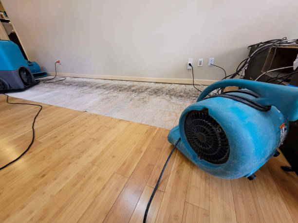 Professional Burst Pipe Water Damage technician working in Spruce Pine, AL